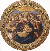 Sandro Botticelli Madonna and Child with six Angels or Madonna of the Pomegranate (mk36) oil on canvas